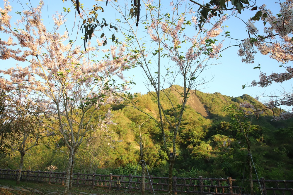 台南楠西住宿推薦。龜丹六二溫泉山房 露天泡湯大眾池、溫泉脈衝池、VIP家庭房泡湯池、住宿、聚餐、泡湯推薦！