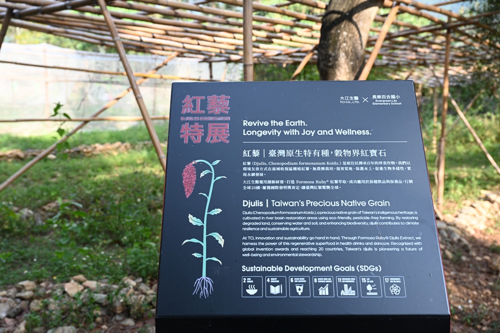 部落深度旅行二日遊。一次玩遍高雄屏東三大部落、萬山部落、大社部落、萬安部落、部落旅遊推薦！