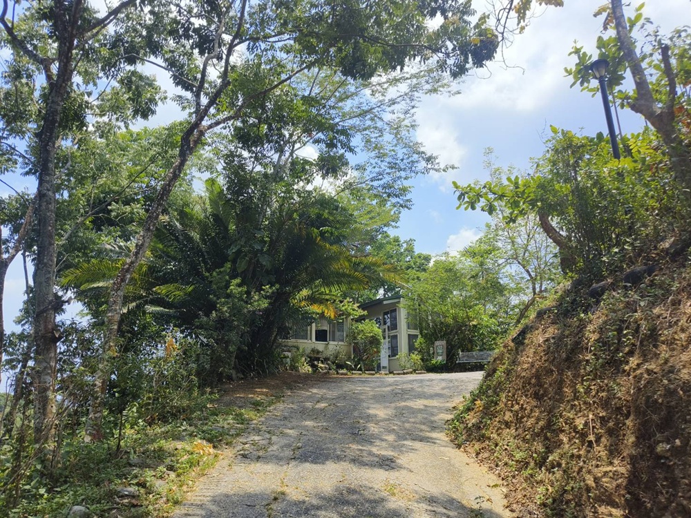 屏東景觀餐廳。北大武山巴西崗咖啡 咖啡主題原鄉創意料理、預約式無菜單料理、180度絕佳景觀視野! 屏東景觀餐廳。北大武山巴西崗咖啡 咖啡主題原鄉創意料理、預約式無菜單料理、180度絕佳景觀視野!