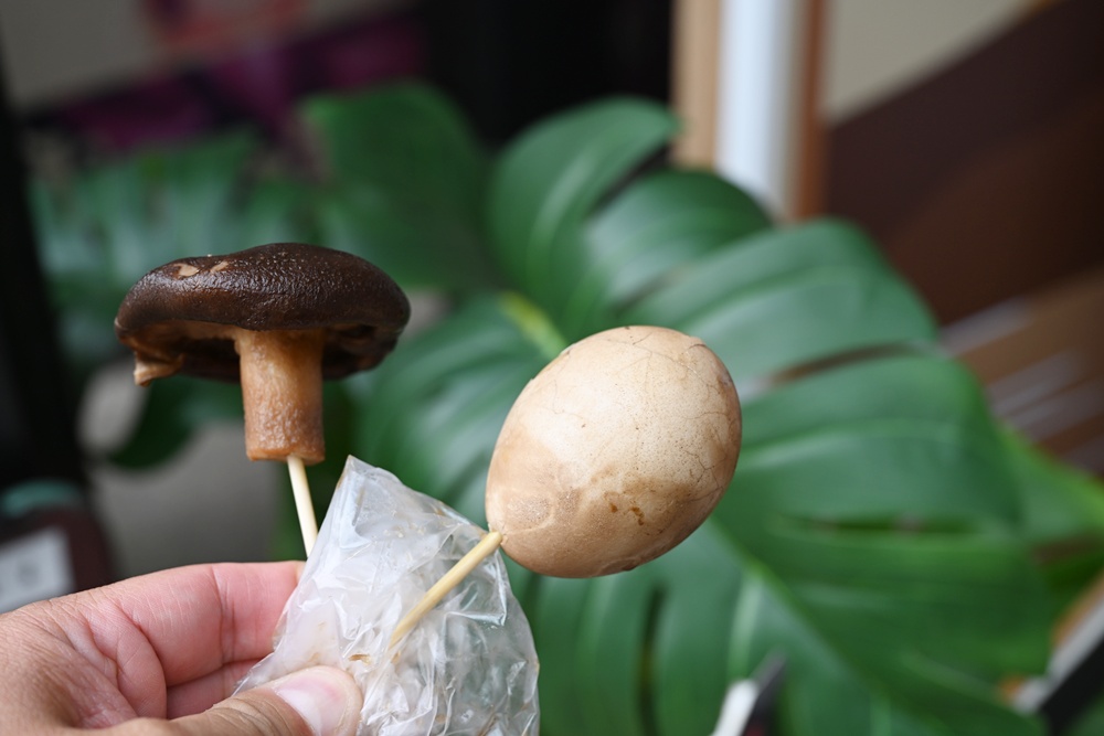 南投一日遊。日月潭電動船 日月潭遊湖、船票、周邊美食、景點推薦！