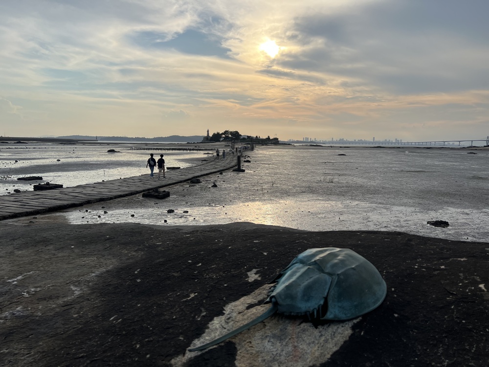 「金門秘境時光機」主題旅遊—4大亮點景點×3條體驗遊程×打卡贈獎活動