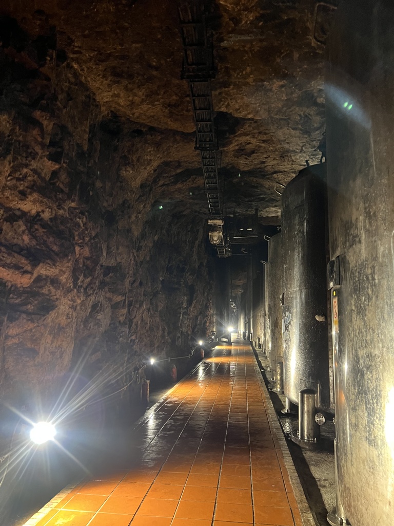 「金門秘境時光機」主題旅遊—4大亮點景點×3條體驗遊程×打卡贈獎活動