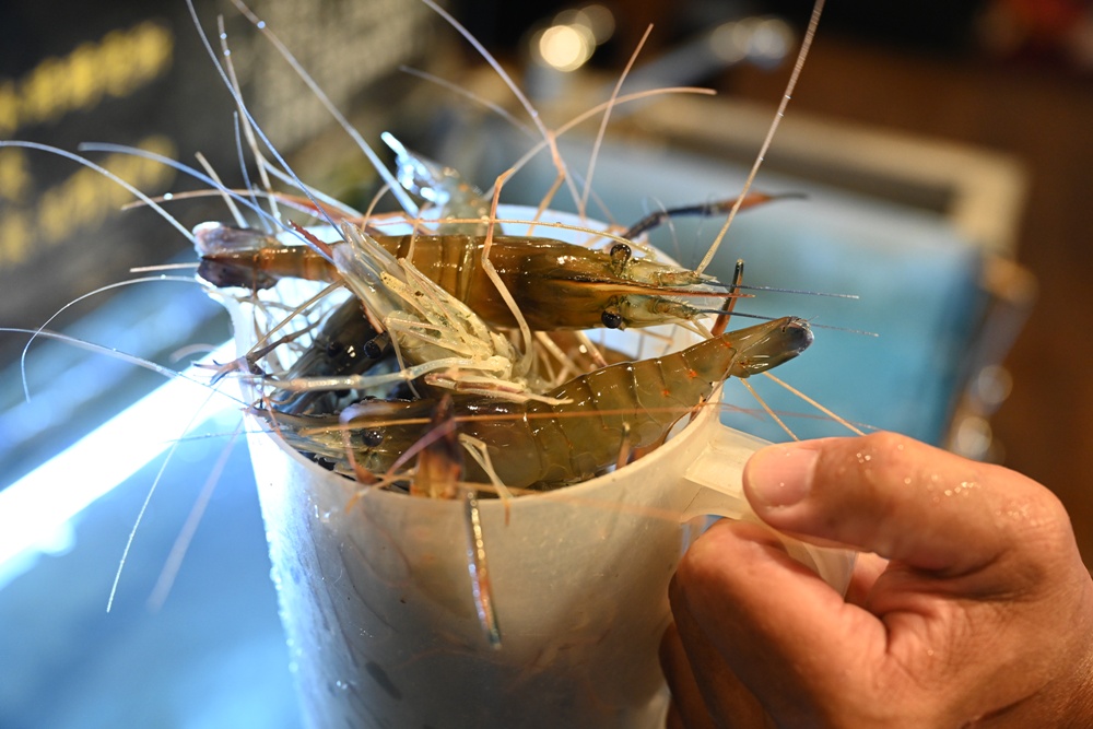 高雄唯一活泰國蝦吃到飽！野饌燒肉 楠梓店 活泰國蝦＆和牛吃到飽 新鮮現撈泰國蝦、哈根達斯冰淇淋吃到飽、火烤兩吃！