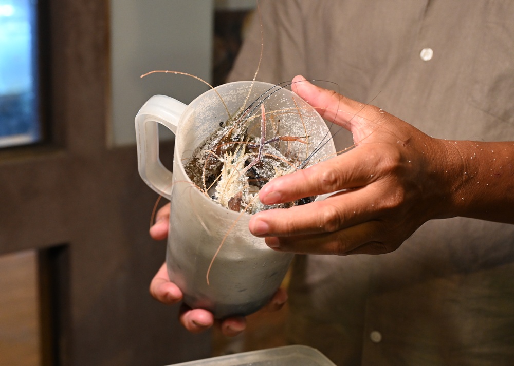 高雄唯一活泰國蝦吃到飽！野饌燒肉 楠梓店 活泰國蝦＆和牛吃到飽 新鮮現撈泰國蝦、哈根達斯冰淇淋吃到飽、火烤兩吃！