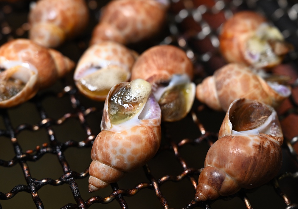 高雄唯一活泰國蝦吃到飽！野饌燒肉 楠梓店 活泰國蝦＆和牛吃到飽 新鮮現撈泰國蝦、哈根達斯冰淇淋吃到飽、火烤兩吃！