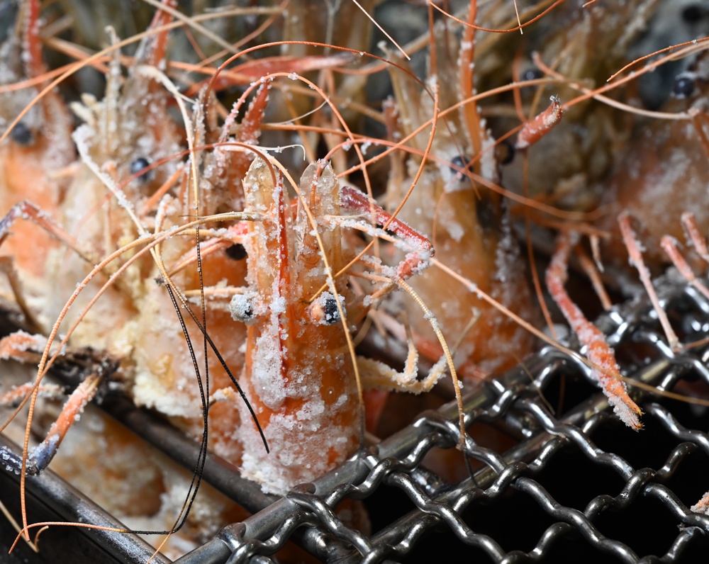 高雄唯一活泰國蝦吃到飽！野饌燒肉 楠梓店 活泰國蝦＆和牛吃到飽 新鮮現撈泰國蝦、哈根達斯冰淇淋吃到飽、火烤兩吃！