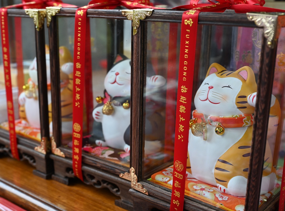 2025台東二日遊！暢遊太麻里好解憂 吃在地、看大海、慢慢走，讓心情也跟著放晴、好解憂！