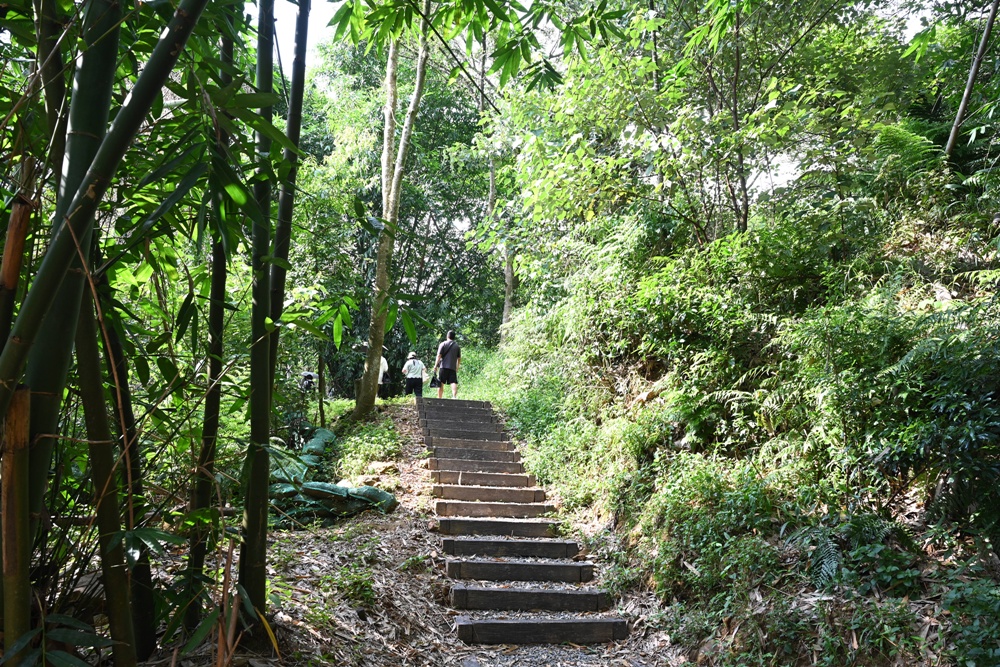 天旨宮鰲頭山步道、南投埔里健行步道、登山漫步、野餐賞景！
