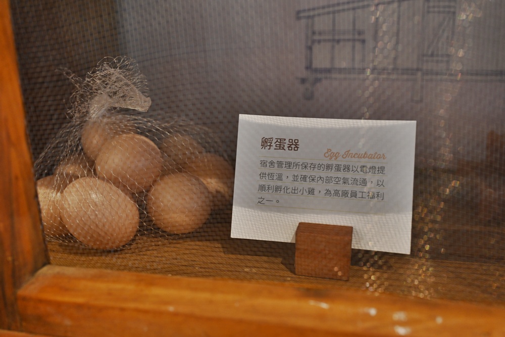 北高雄新亮點！六燃丁種宿舍 8/9 盛大開幕啦！日式古蹟建築 免門票 還能玩互動體驗！