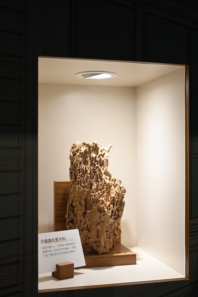 北高雄新亮點！六燃丁種宿舍 8/9 盛大開幕啦！日式古蹟建築 免門票 還能玩互動體驗！