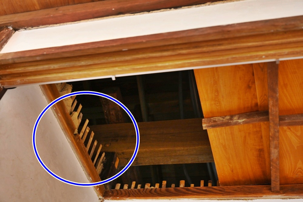 北高雄新亮點！六燃丁種宿舍 8/9 盛大開幕啦！日式古蹟建築 免門票 還能玩互動體驗！