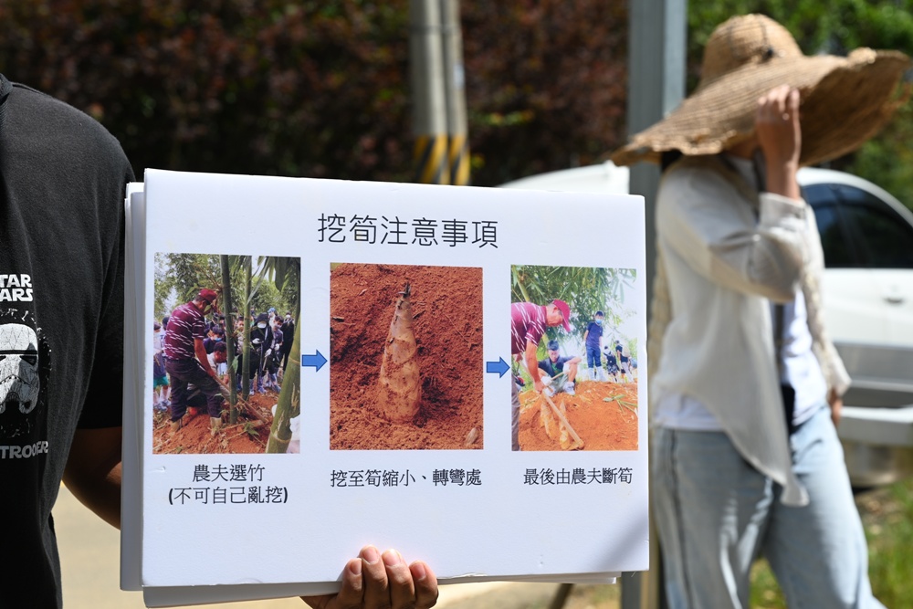 南投埔里一日遊。桃米生態村 麻竹筍農事體驗、挖筍體驗、筍片DIY、季節限定活動！