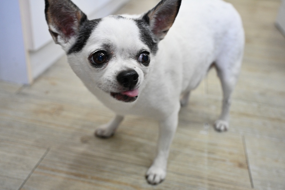 我愛睛囍眼鏡｜河堤商圈在地好鄰居 太陽眼鏡、運動眼鏡、Airfly 側夾眼鏡！