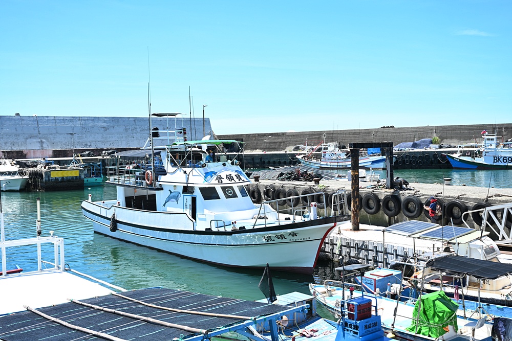 台東成功港｜跟著晉領號賞鯨豚 海洋環境教室！