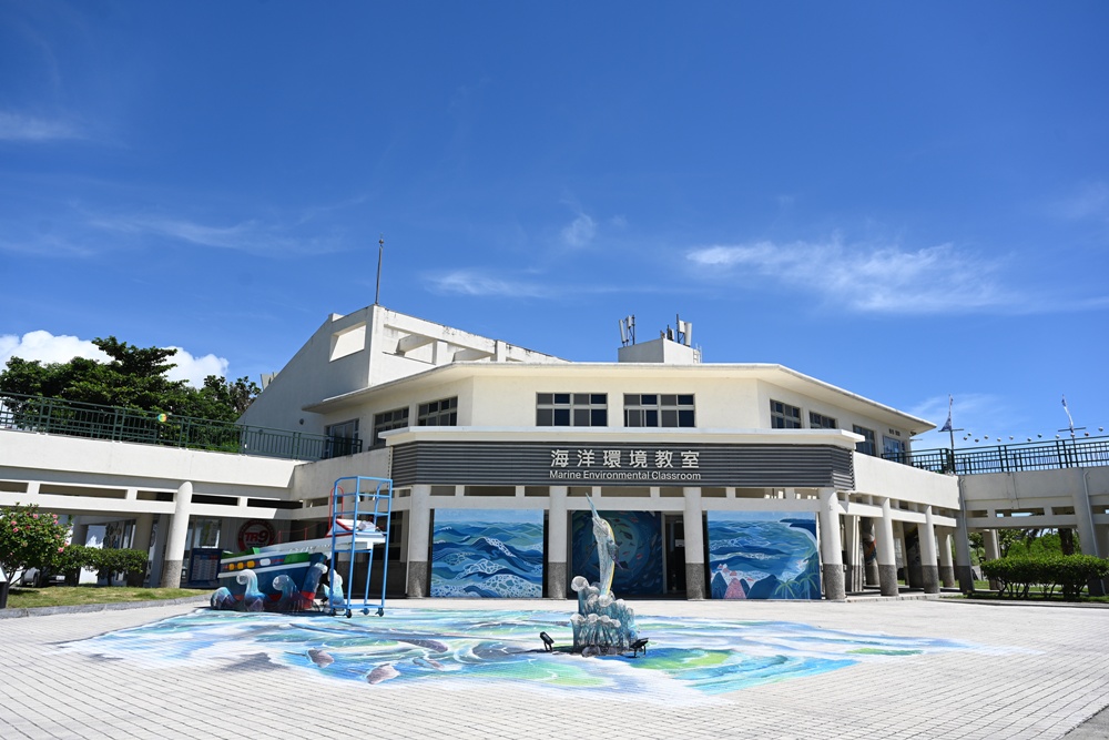 台東成功港｜跟著晉領號賞鯨豚 海洋環境教室！