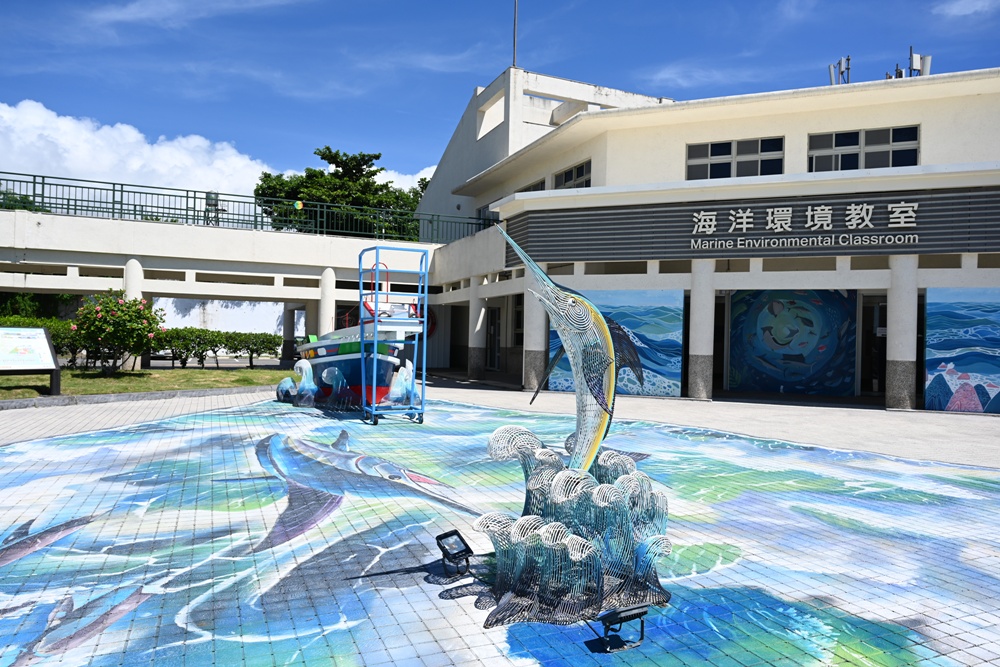台東成功港｜跟著晉領號賞鯨豚 海洋環境教室！