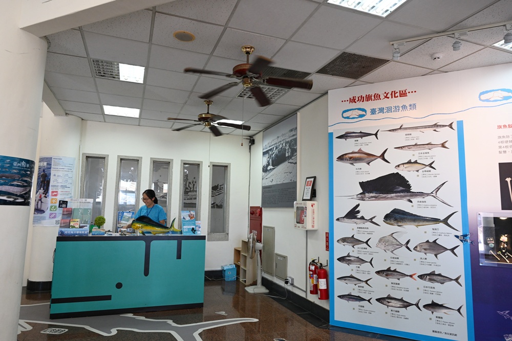 台東成功港｜跟著晉領號賞鯨豚 海洋環境教室！