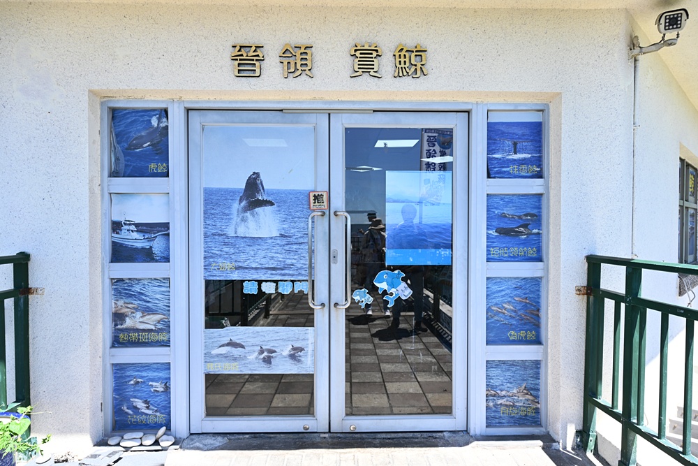 台東成功港｜跟著晉領號賞鯨豚 海洋環境教室！