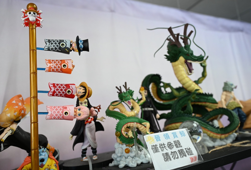 台東成功港｜跟著晉領號賞鯨豚 海洋環境教室！