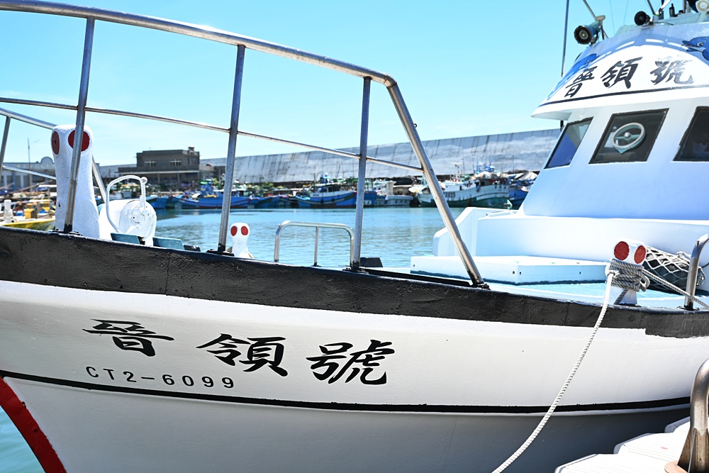 台東成功港｜跟著晉領號賞鯨豚 海洋環境教室！