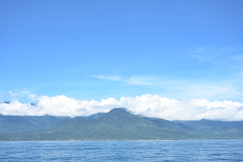 台東成功港｜跟著晉領號賞鯨豚 海洋環境教室！