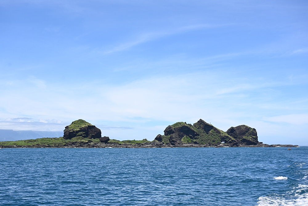 台東成功港｜跟著晉領號賞鯨豚 海洋環境教室！