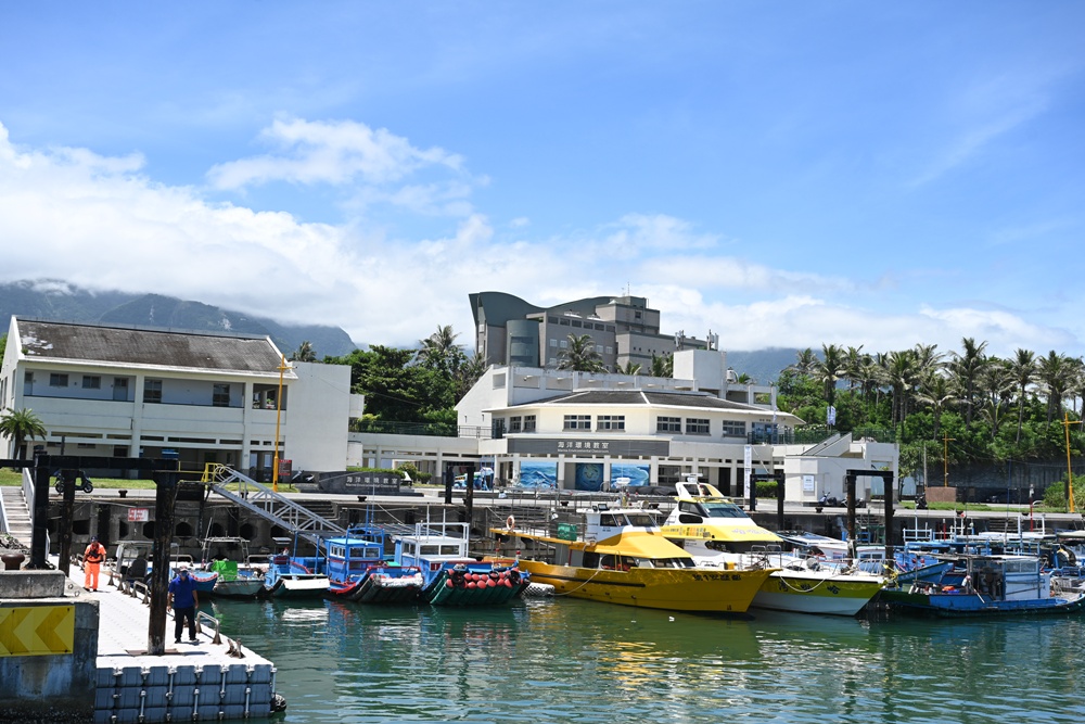 台東成功港｜跟著晉領號賞鯨豚 海洋環境教室！