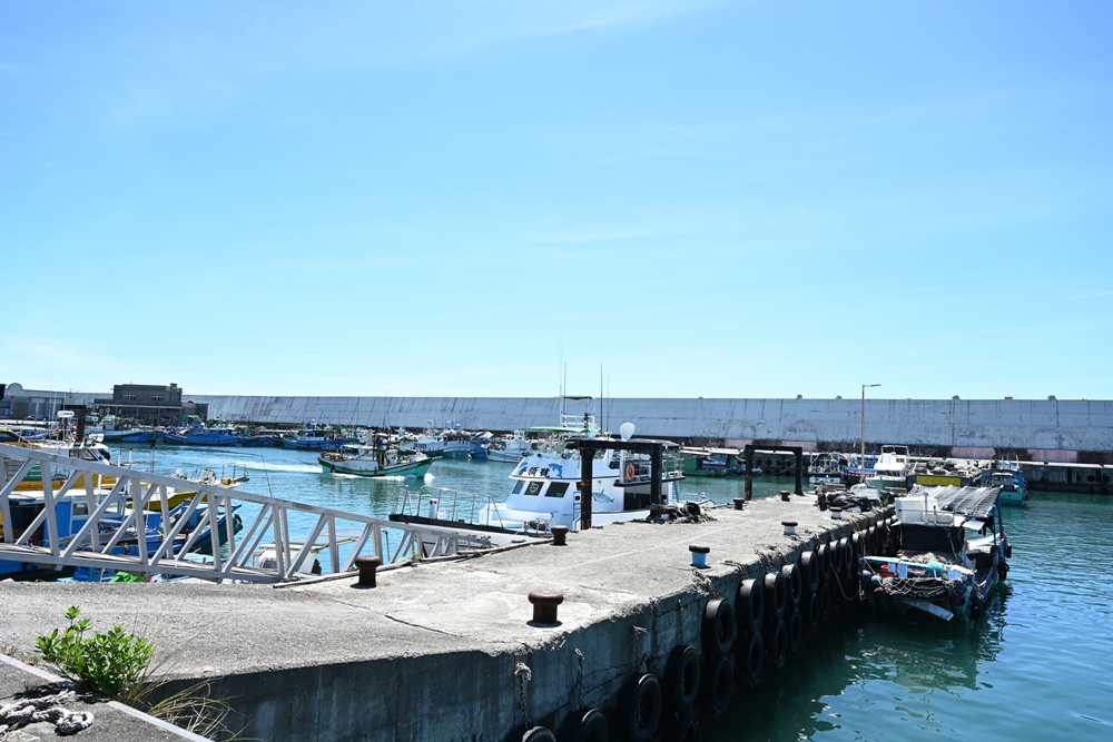 台東成功港｜跟著晉領號賞鯨豚 海洋環境教室！