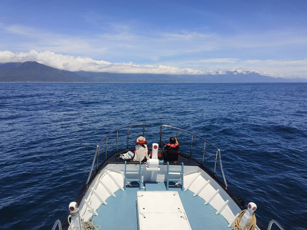 台東成功港｜跟著晉領號賞鯨豚 海洋環境教室！