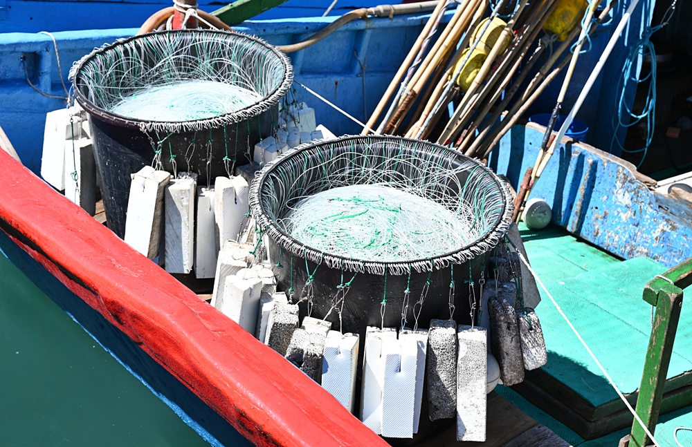 台東成功鎮 3天2夜小旅行｜日出、月光海、立槳SUP、賞鯨、在地海鮮美食與文化！