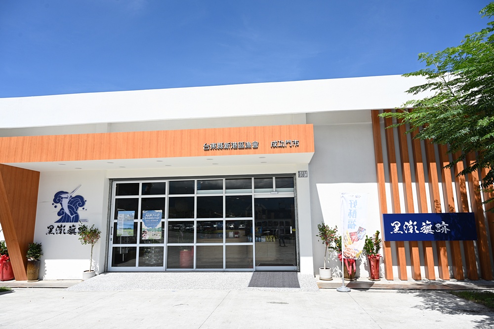 台東成功鎮 3天2夜小旅行｜日出、月光海、立槳SUP、賞鯨、在地海鮮美食與文化！