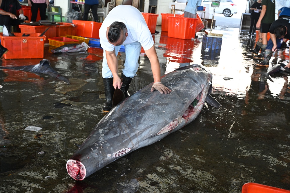 台東成功鎮 3天2夜小旅行｜日出、月光海、立槳SUP、賞鯨、在地海鮮美食與文化！