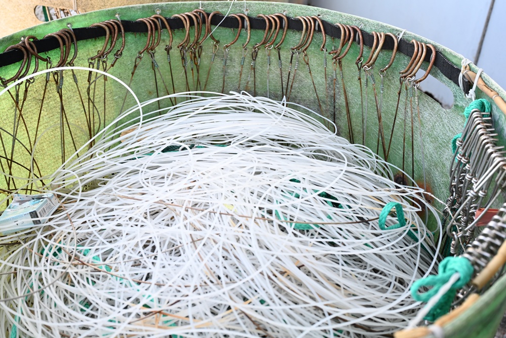 台東成功鎮 3天2夜小旅行｜日出、月光海、立槳SUP、賞鯨、在地海鮮美食與文化！