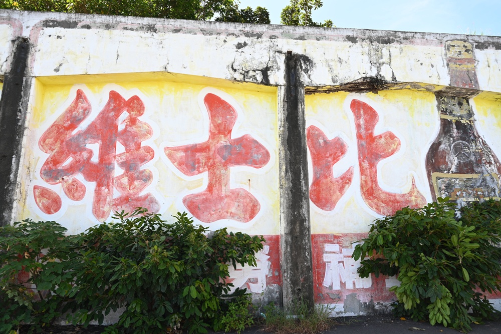 台東成功鎮 3天2夜小旅行｜日出、月光海、立槳SUP、賞鯨、在地海鮮美食與文化！