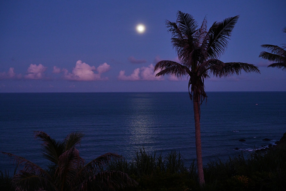 台東成功鎮 3天2夜小旅行｜日出、月光海、立槳SUP、賞鯨、在地海鮮美食與文化！