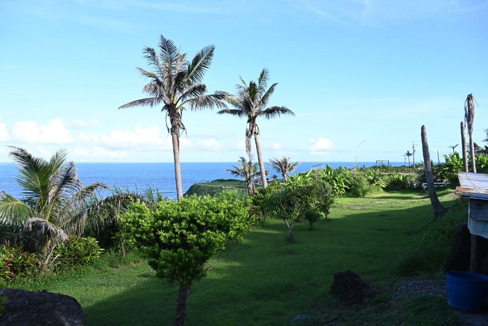 台東成功鎮 3天2夜小旅行｜日出、月光海、立槳SUP、賞鯨、在地海鮮美食與文化！