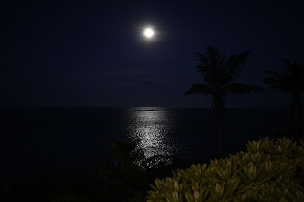 台東成功鎮 3天2夜小旅行｜日出、月光海、立槳SUP、賞鯨、在地海鮮美食與文化！