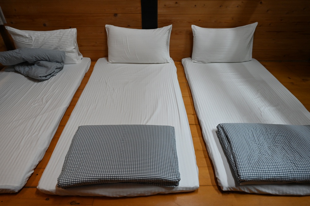 台東成功鎮 3天2夜小旅行｜日出、月光海、立槳SUP、賞鯨、在地海鮮美食與文化！