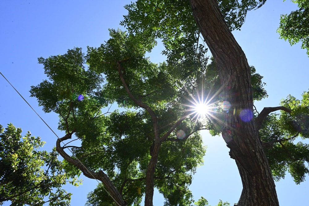 台東成功鎮 3天2夜小旅行｜日出、月光海、立槳SUP、賞鯨、在地海鮮美食與文化！