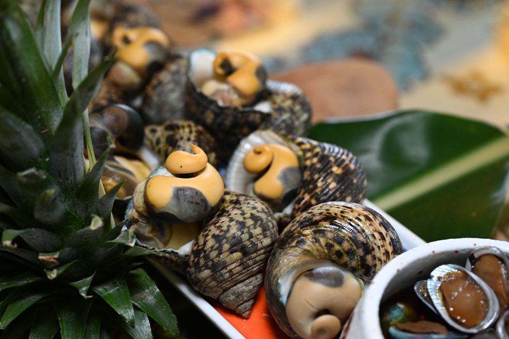 台東成功鎮 3天2夜小旅行｜日出、月光海、立槳SUP、賞鯨、在地海鮮美食與文化！