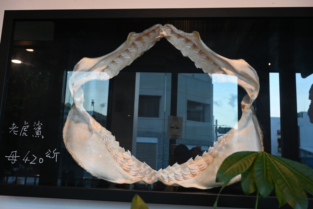 沙魚仔海鮮餐廳|成功鎮必吃海鮮美食推薦,旗魚干滷肉、旗鮪生魚片、飛虎魚柳、經典鯊魚煙全攻略! 沙魚仔海鮮餐廳|成功鎮必吃海鮮美食推薦,旗魚干滷肉、旗鮪生魚片、飛虎魚柳、經典鯊魚煙全攻略!