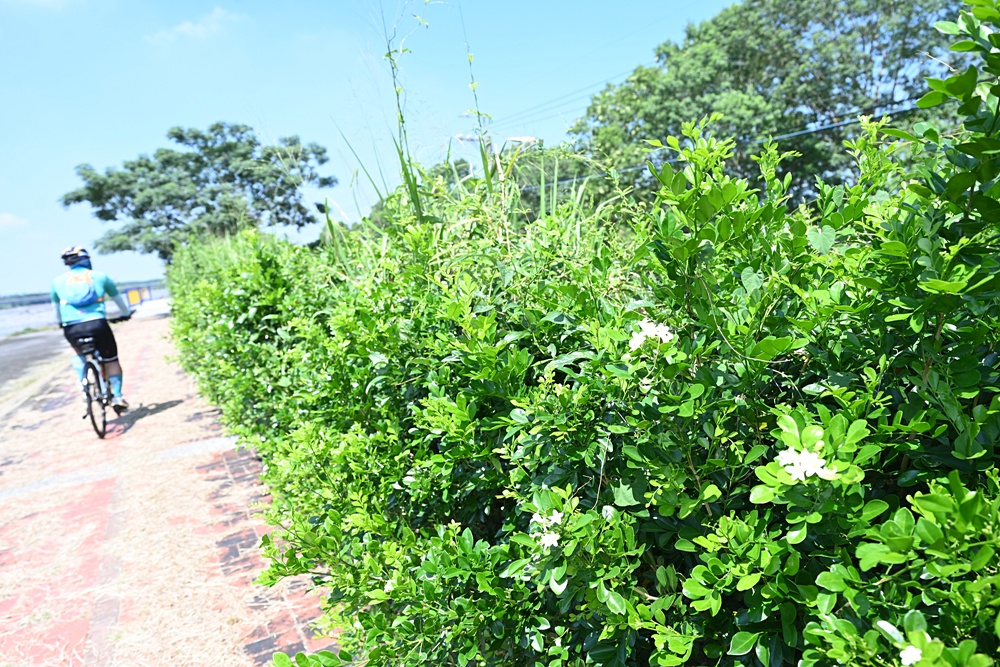 屏東高樹二日遊｜電輔車漫遊大武山下，入住幸福莊園、石獅公文化、品味可可與鳳梨的甜美時光！