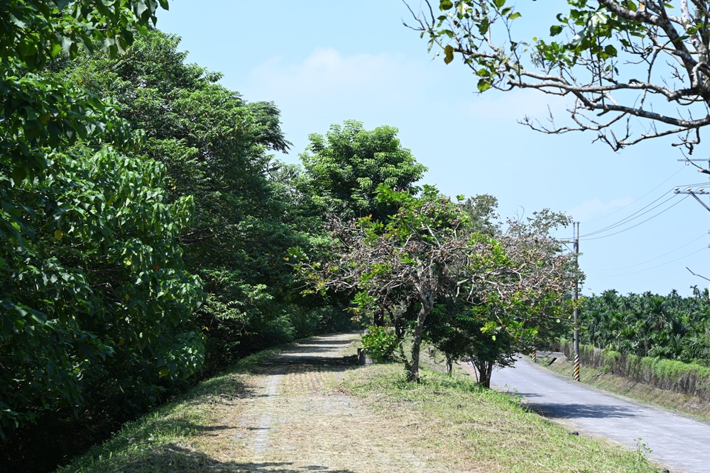 屏東高樹二日遊｜電輔車漫遊大武山下，入住幸福莊園、石獅公文化、品味可可與鳳梨的甜美時光！