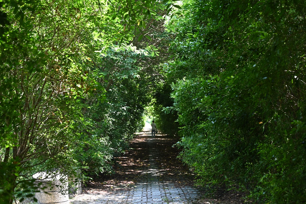屏東高樹二日遊｜電輔車漫遊大武山下，入住幸福莊園、石獅公文化、品味可可與鳳梨的甜美時光！