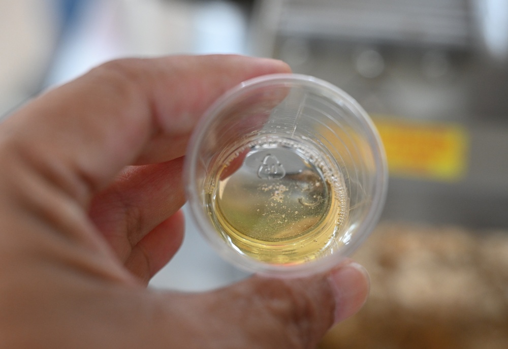 屏東高樹二日遊｜電輔車漫遊大武山下，入住幸福莊園、石獅公文化、品味可可與鳳梨的甜美時光！