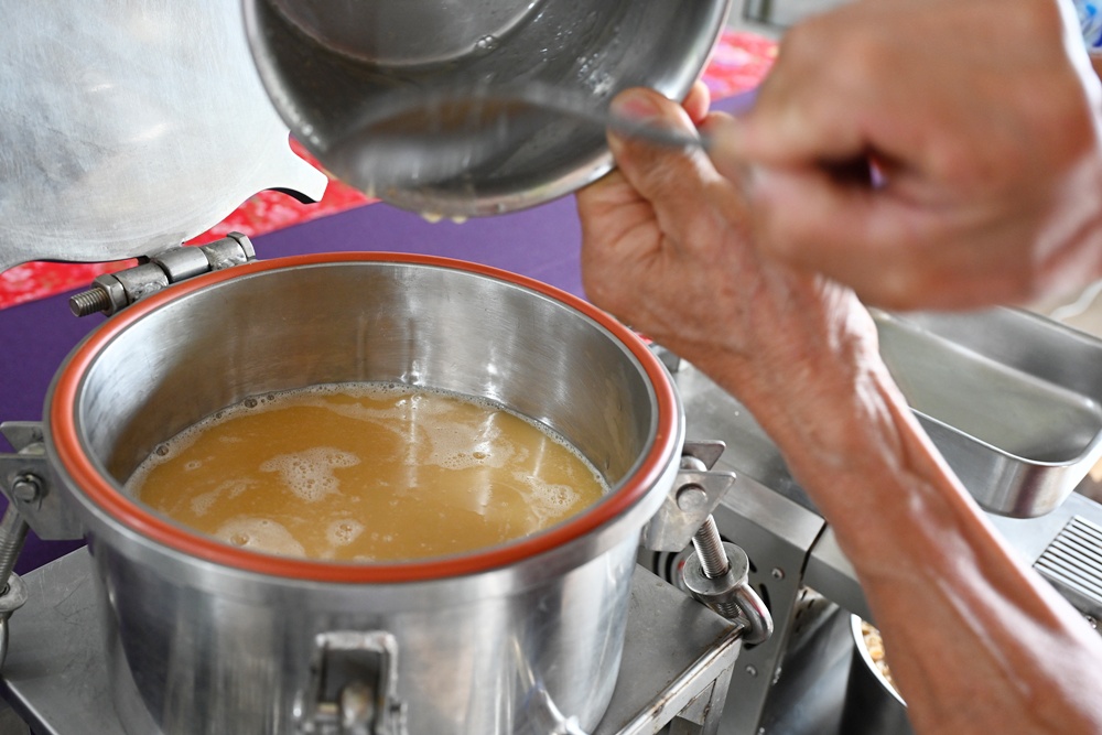 屏東高樹二日遊｜電輔車漫遊大武山下，入住幸福莊園、石獅公文化、品味可可與鳳梨的甜美時光！