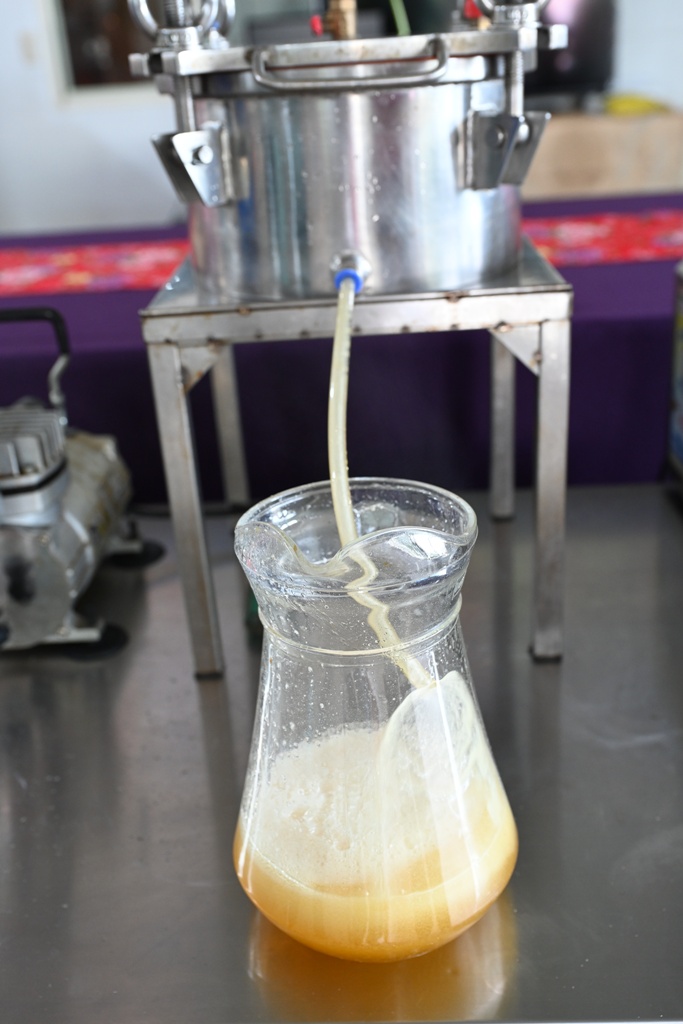 屏東高樹二日遊｜電輔車漫遊大武山下，入住幸福莊園、石獅公文化、品味可可與鳳梨的甜美時光！