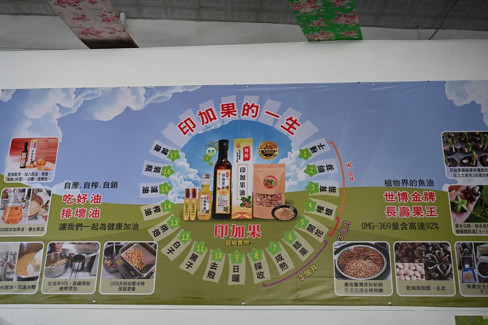 屏東高樹二日遊｜電輔車漫遊大武山下，入住幸福莊園、石獅公文化、品味可可與鳳梨的甜美時光！