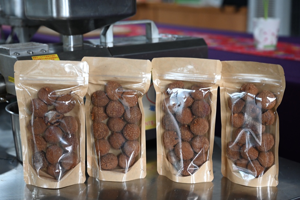 屏東高樹二日遊｜電輔車漫遊大武山下，入住幸福莊園、石獅公文化、品味可可與鳳梨的甜美時光！