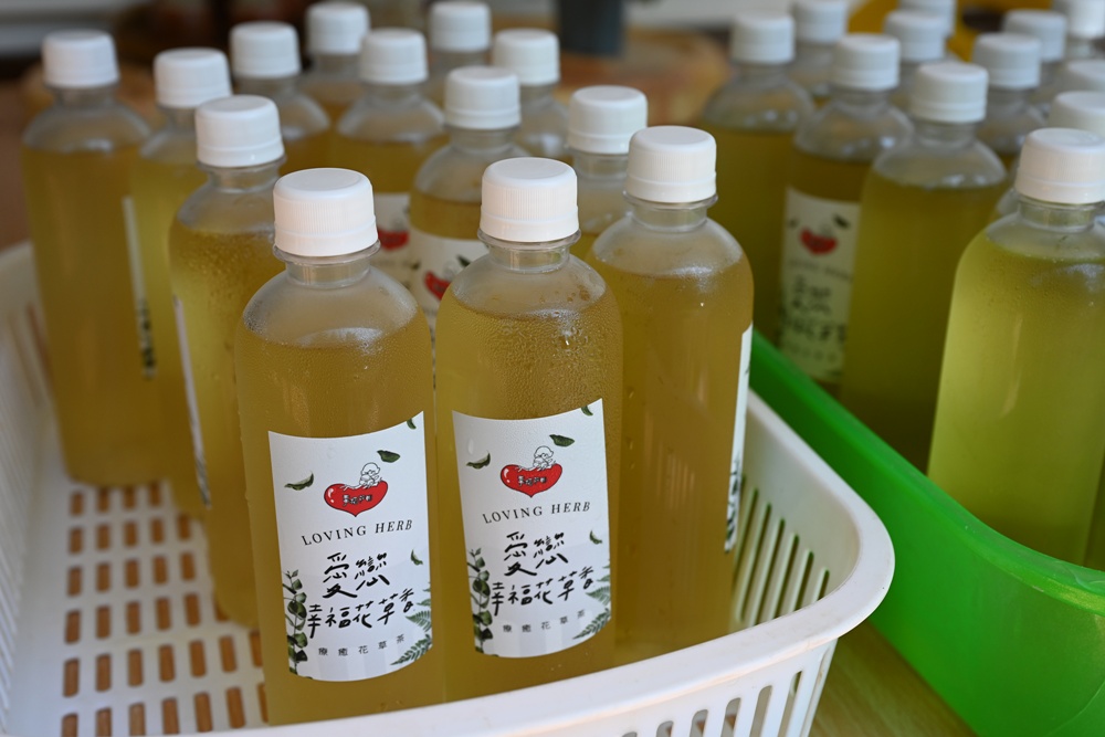 屏東高樹二日遊｜電輔車漫遊大武山下，入住幸福莊園、石獅公文化、品味可可與鳳梨的甜美時光！